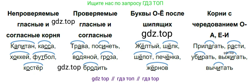 Русский язык, 6 класс Учебник, авторы: Разумовская Маргарита Михайловна, Львова Светлана Ивановна, Капинос Валентина Ивановна, Львов Валентин Витальевич, Соловейчик Марина Сергеевна, Сергеева Наталья Николаевна, Тронина Татьяна Сергеевна, издательство Просвещение, Москва, 2023, белого цвета, Часть 1, страница 22, номер 41, Решение 3 (2022)