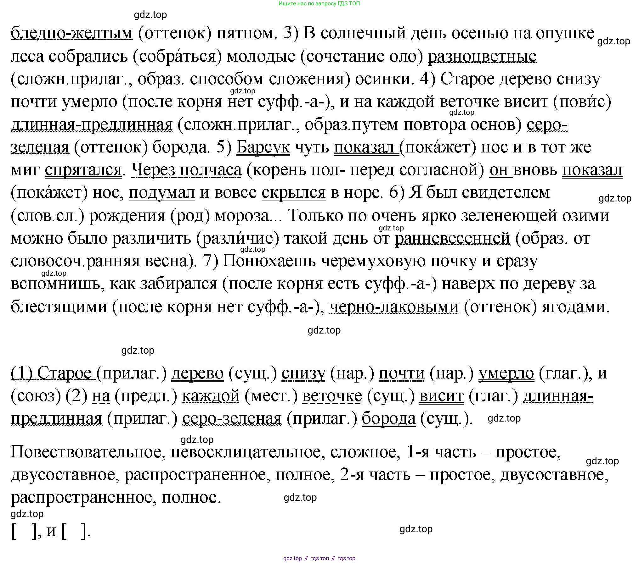 Русский язык, 6 класс Учебник, авторы: Разумовская Маргарита Михайловна, Львова Светлана Ивановна, Капинос Валентина Ивановна, Львов Валентин Витальевич, Соловейчик Марина Сергеевна, Сергеева Наталья Николаевна, Тронина Татьяна Сергеевна, издательство Просвещение, Москва, 2023, белого цвета, Часть 1, страница 51, номер 131, Решение 1 (2023) (продолжение 2)