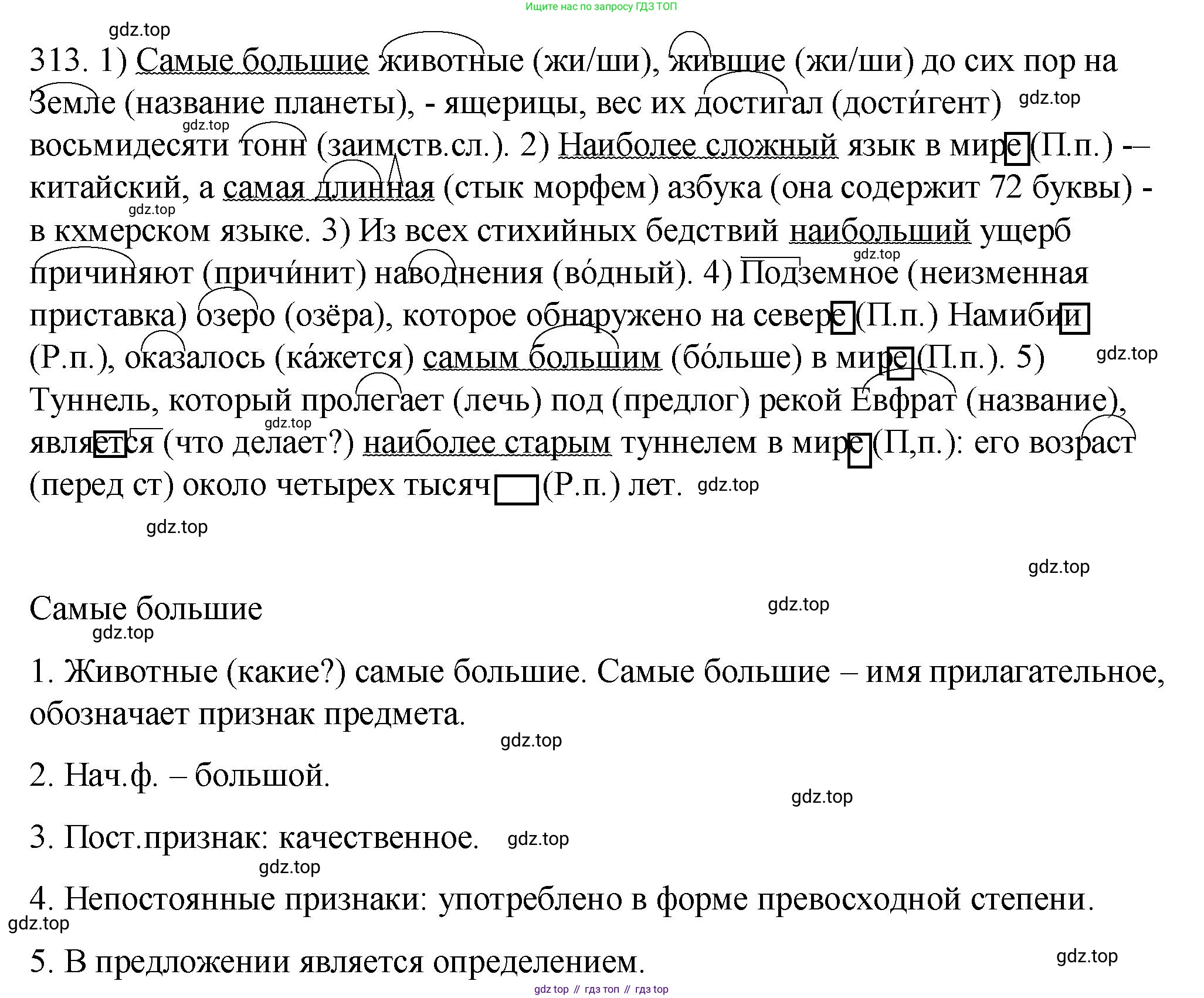 Русский язык, 6 класс Учебник, авторы: Разумовская Маргарита Михайловна, Львова Светлана Ивановна, Капинос Валентина Ивановна, Львов Валентин Витальевич, Соловейчик Марина Сергеевна, Сергеева Наталья Николаевна, Тронина Татьяна Сергеевна, издательство Просвещение, Москва, 2023, белого цвета, Часть 1, страница 117, номер 313, Решение 1 (2023)