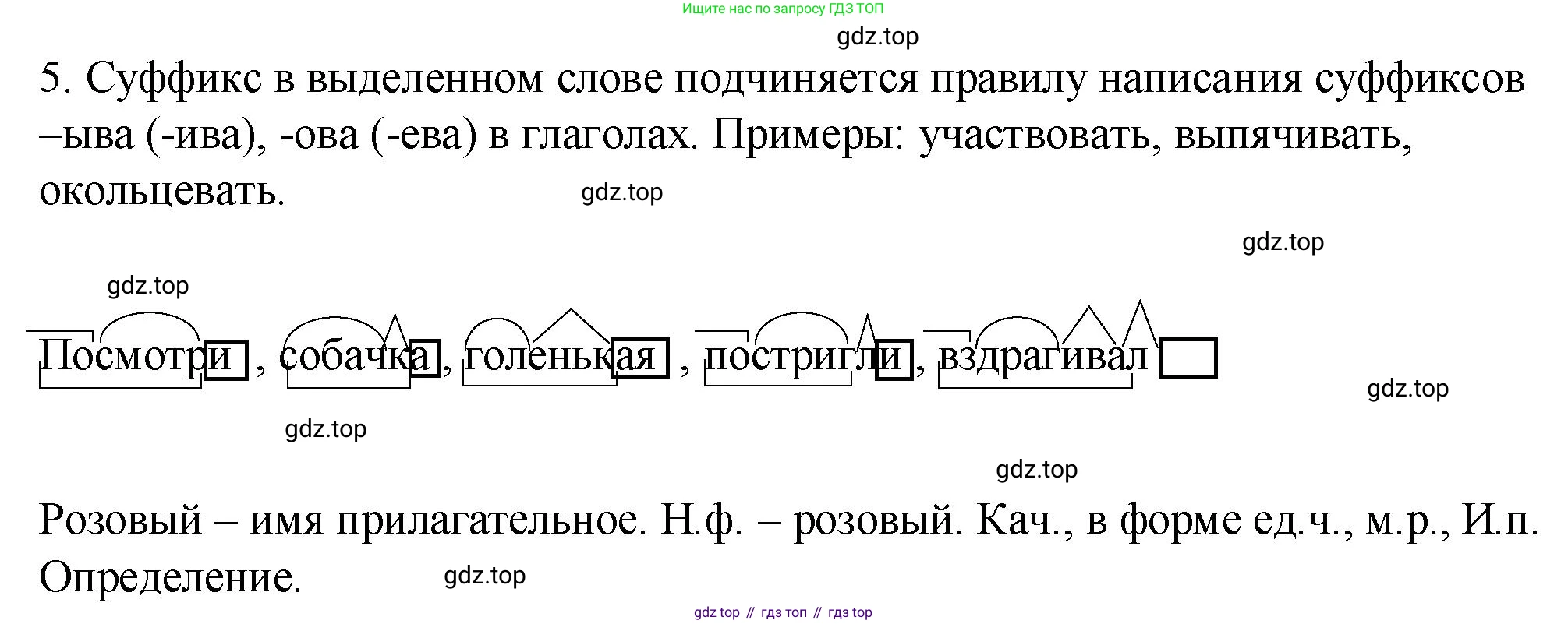 Русский язык, 6 класс Учебник, авторы: Разумовская Маргарита Михайловна, Львова Светлана Ивановна, Капинос Валентина Ивановна, Львов Валентин Витальевич, Соловейчик Марина Сергеевна, Сергеева Наталья Николаевна, Тронина Татьяна Сергеевна, издательство Просвещение, Москва, 2023, белого цвета, Часть 1, страница 7, номер 5, Решение 1 (2023)