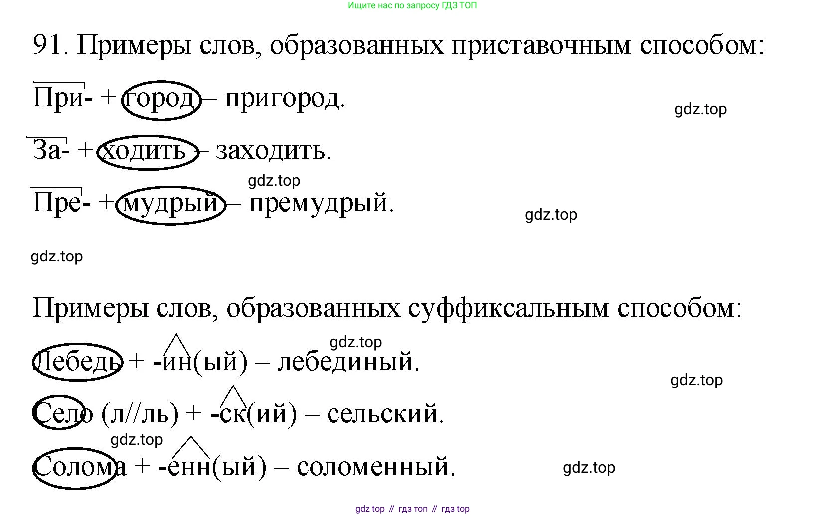 Русский язык, 6 класс Учебник, авторы: Разумовская Маргарита Михайловна, Львова Светлана Ивановна, Капинос Валентина Ивановна, Львов Валентин Витальевич, Соловейчик Марина Сергеевна, Сергеева Наталья Николаевна, Тронина Татьяна Сергеевна, издательство Просвещение, Москва, 2023, белого цвета, Часть 1, страница 39, номер 91, Решение 1 (2023)