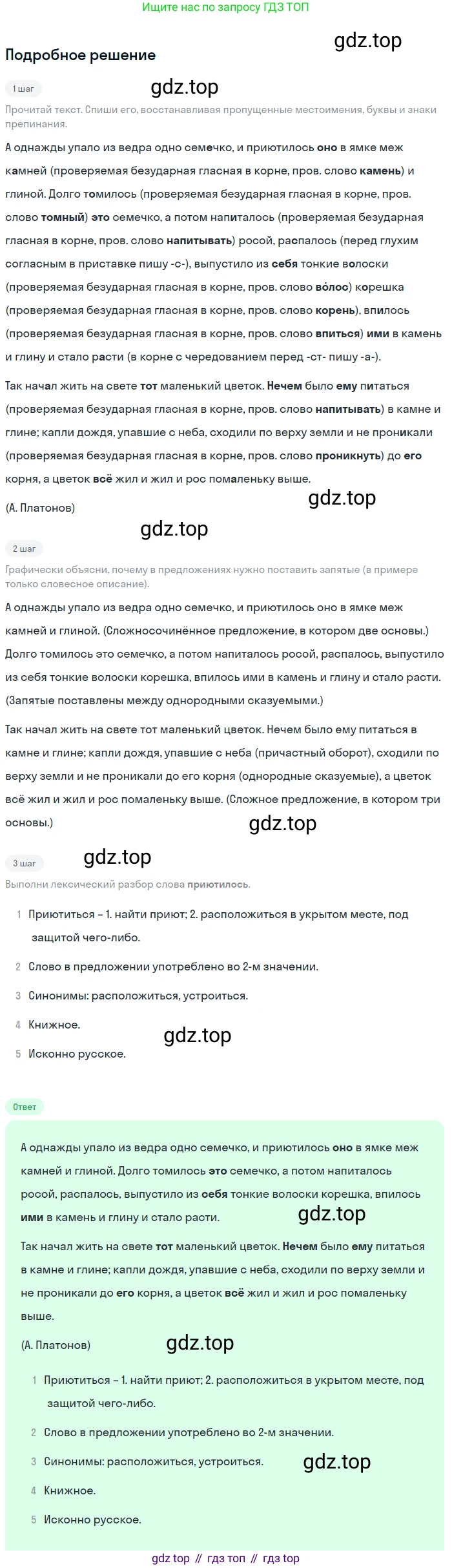 Русский язык, 6 класс Учебник, авторы: Разумовская Маргарита Михайловна, Львова Светлана Ивановна, Капинос Валентина Ивановна, Львов Валентин Витальевич, Соловейчик Марина Сергеевна, Сергеева Наталья Николаевна, Тронина Татьяна Сергеевна, издательство Просвещение, Москва, 2023, белого цвета, Часть 2, страница 36, номер 490, Решение 2 (2023)