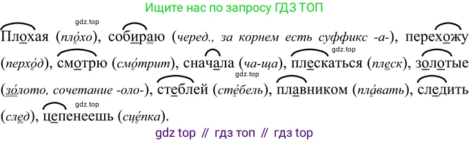 Русский язык, 6 класс Учебник, авторы: Разумовская Маргарита Михайловна, Львова Светлана Ивановна, Капинос Валентина Ивановна, Львов Валентин Витальевич, Соловейчик Марина Сергеевна, Сергеева Наталья Николаевна, Тронина Татьяна Сергеевна, издательство Просвещение, Москва, 2023, белого цвета, Часть 1, страница 18, номер 26, Решение 3 (2023)