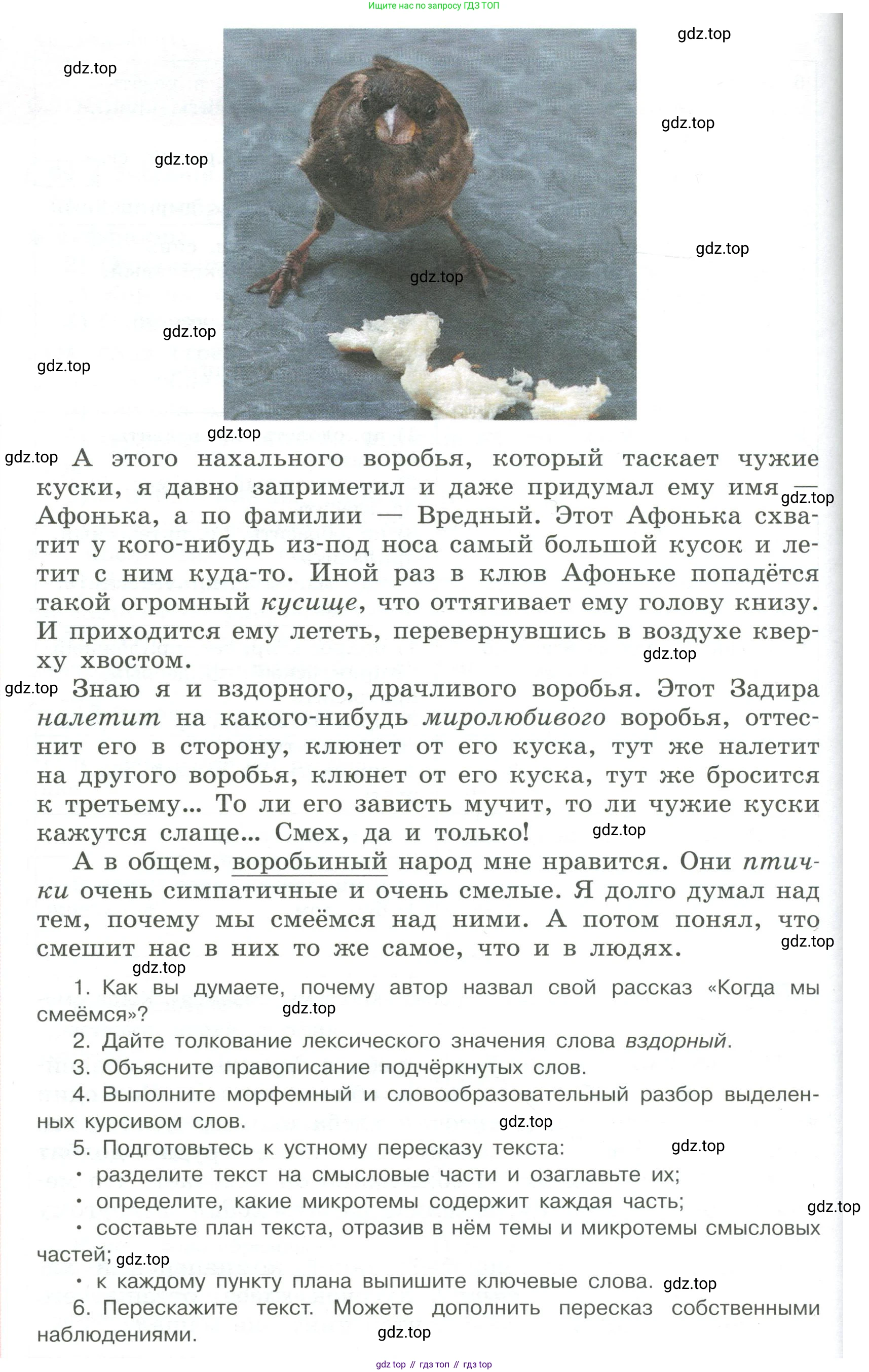 Русский язык, 6 класс Учебник, авторы: Рыбченкова Лидия Макаровна, Александрова Ольга Макаровна, Загоровская Ольга Владимировна, Нарушевич Андрей Георгиевич, Григорьев Андрей Владимирович, Леонтьева Юлия Николаевна, издательство Просвещение, Москва, 2019 - 2022, Часть 1, страница 49, Условие (продолжение 2)