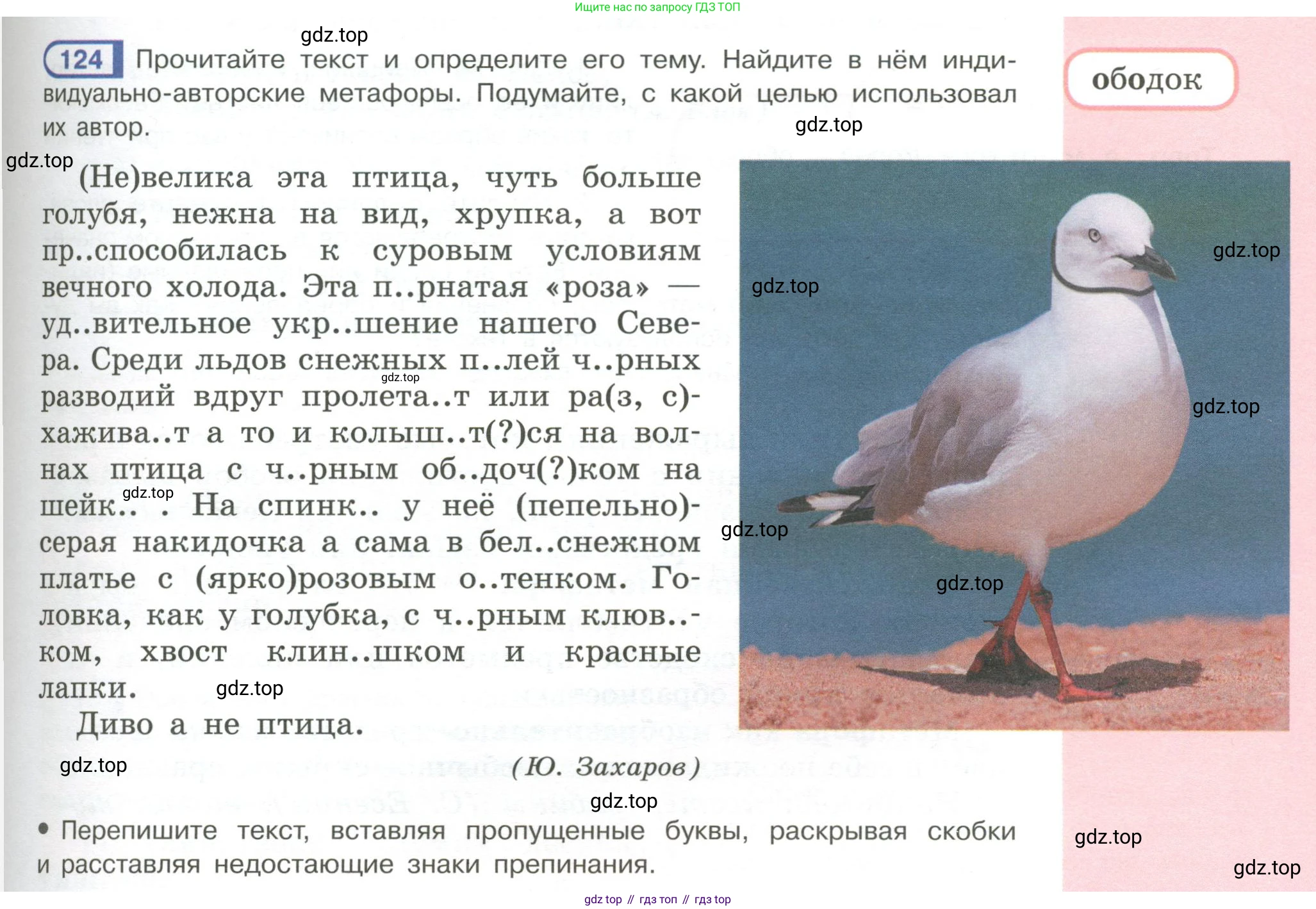 Русский язык, 6 класс Учебник, авторы: Рыбченкова Лидия Макаровна, Александрова Ольга Макаровна, Загоровская Ольга Владимировна, Нарушевич Андрей Георгиевич, Григорьев Андрей Владимирович, Леонтьева Юлия Николаевна, издательство Просвещение, Москва, 2019 - 2022, Часть 1, страница 59, Условие
