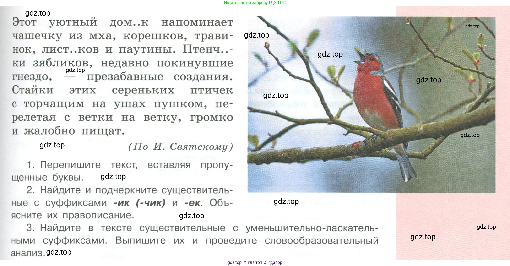 Русский язык, 6 класс Учебник, авторы: Рыбченкова Лидия Макаровна, Александрова Ольга Макаровна, Загоровская Ольга Владимировна, Нарушевич Андрей Георгиевич, Григорьев Андрей Владимирович, Леонтьева Юлия Николаевна, издательство Просвещение, Москва, 2019 - 2022, Часть 1, страница 144, Условие (продолжение 2)