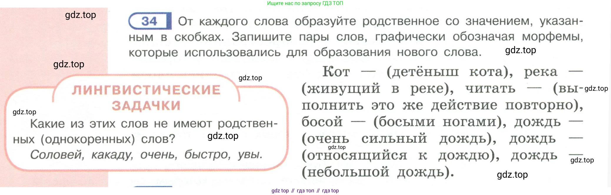 Русский язык, 6 класс Учебник, авторы: Рыбченкова Лидия Макаровна, Александрова Ольга Макаровна, Загоровская Ольга Владимировна, Нарушевич Андрей Георгиевич, Григорьев Андрей Владимирович, Леонтьева Юлия Николаевна, издательство Просвещение, Москва, 2019 - 2022, Часть 1, страница 24, Условие