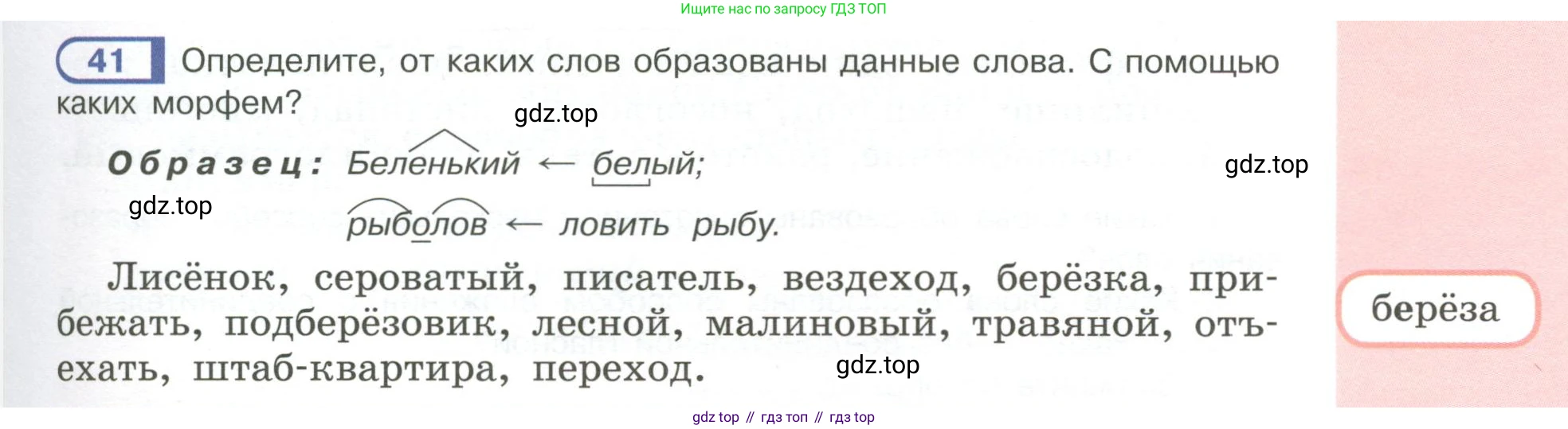 Русский язык, 6 класс Учебник, авторы: Рыбченкова Лидия Макаровна, Александрова Ольга Макаровна, Загоровская Ольга Владимировна, Нарушевич Андрей Георгиевич, Григорьев Андрей Владимирович, Леонтьева Юлия Николаевна, издательство Просвещение, Москва, 2019 - 2022, Часть 1, страница 27, Условие
