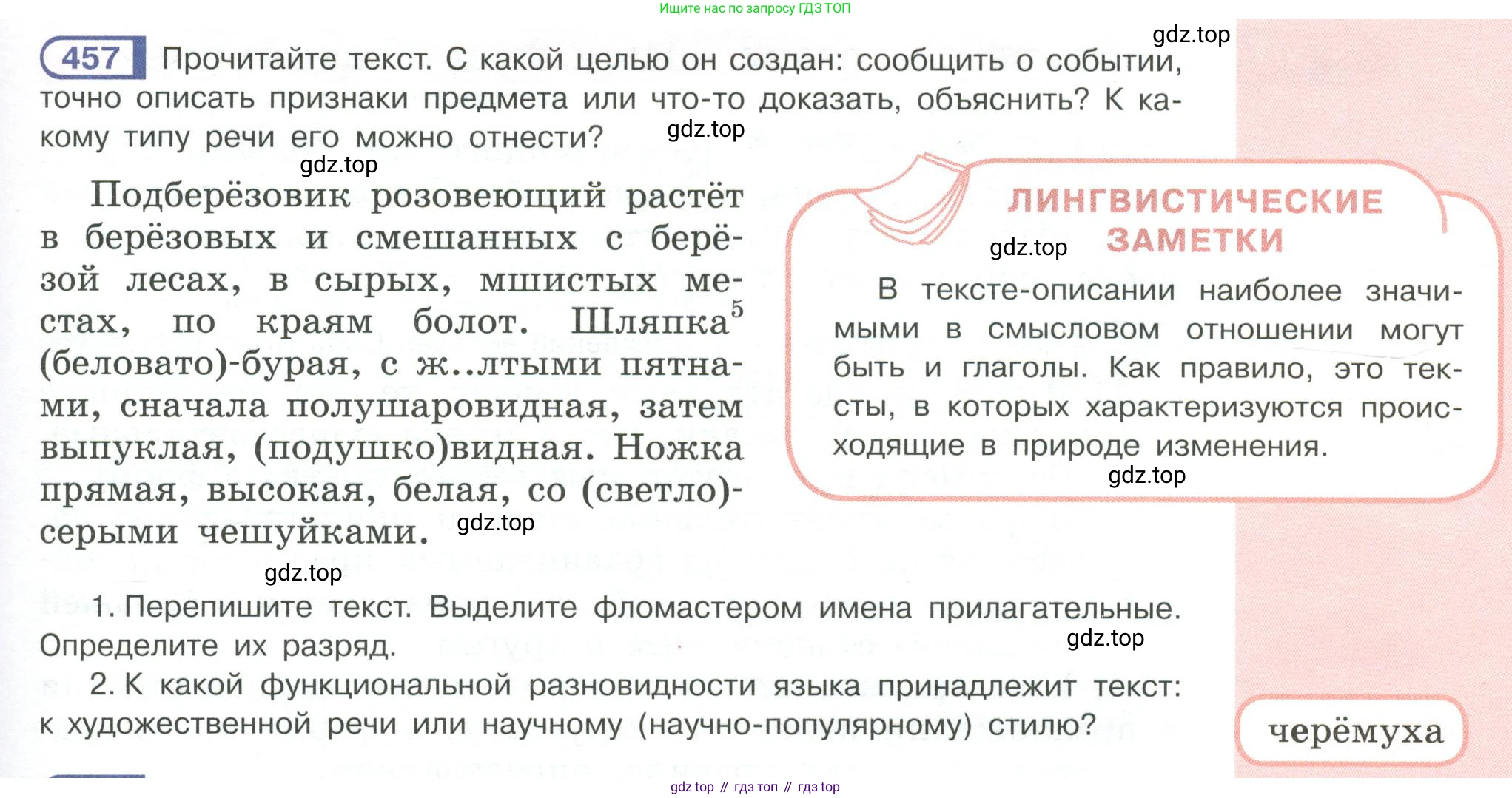 Русский язык, 6 класс Учебник, авторы: Рыбченкова Лидия Макаровна, Александрова Ольга Макаровна, Загоровская Ольга Владимировна, Нарушевич Андрей Георгиевич, Григорьев Андрей Владимирович, Леонтьева Юлия Николаевна, издательство Просвещение, Москва, 2019 - 2022, Часть 2, страница 33, Условие
