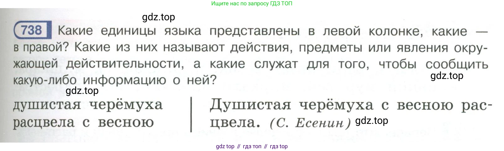 Русский язык, 6 класс Учебник, авторы: Рыбченкова Лидия Макаровна, Александрова Ольга Макаровна, Загоровская Ольга Владимировна, Нарушевич Андрей Георгиевич, Григорьев Андрей Владимирович, Леонтьева Юлия Николаевна, издательство Просвещение, Москва, 2019 - 2022, Часть 2, страница 149, Условие