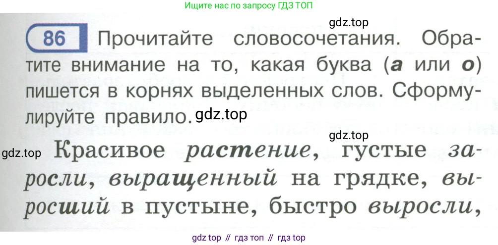 Русский язык, 6 класс Учебник, авторы: Рыбченкова Лидия Макаровна, Александрова Ольга Макаровна, Загоровская Ольга Владимировна, Нарушевич Андрей Георгиевич, Григорьев Андрей Владимирович, Леонтьева Юлия Николаевна, издательство Просвещение, Москва, 2019 - 2022, Часть 1, страница 43, Условие