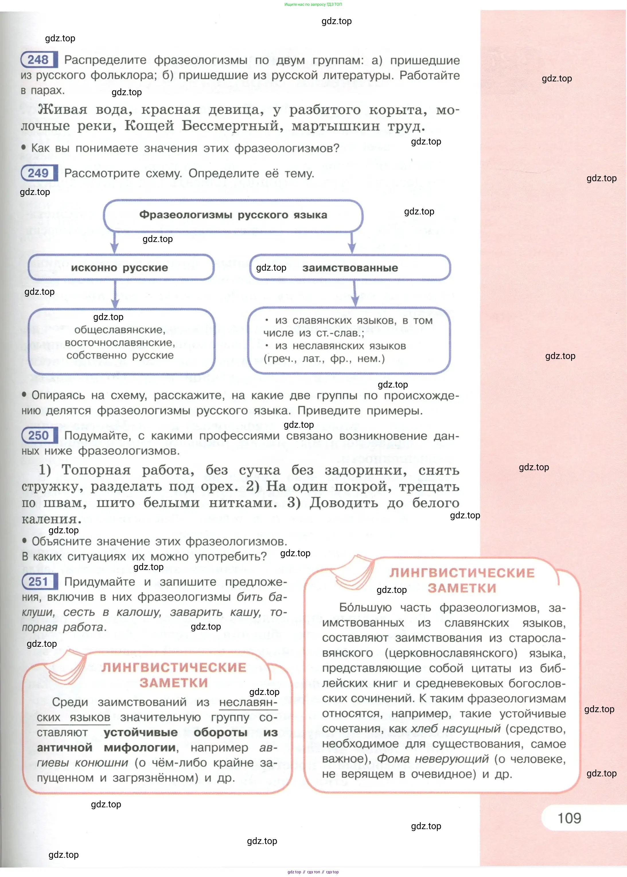 Русский язык, 6 класс Учебник, авторы: Рыбченкова Лидия Макаровна, Александрова Ольга Макаровна, Загоровская Ольга Владимировна, Нарушевич Андрей Георгиевич, Григорьев Андрей Владимирович, Леонтьева Юлия Николаевна, издательство Просвещение, Москва, 2019 - 2022, Часть 1, страница 109