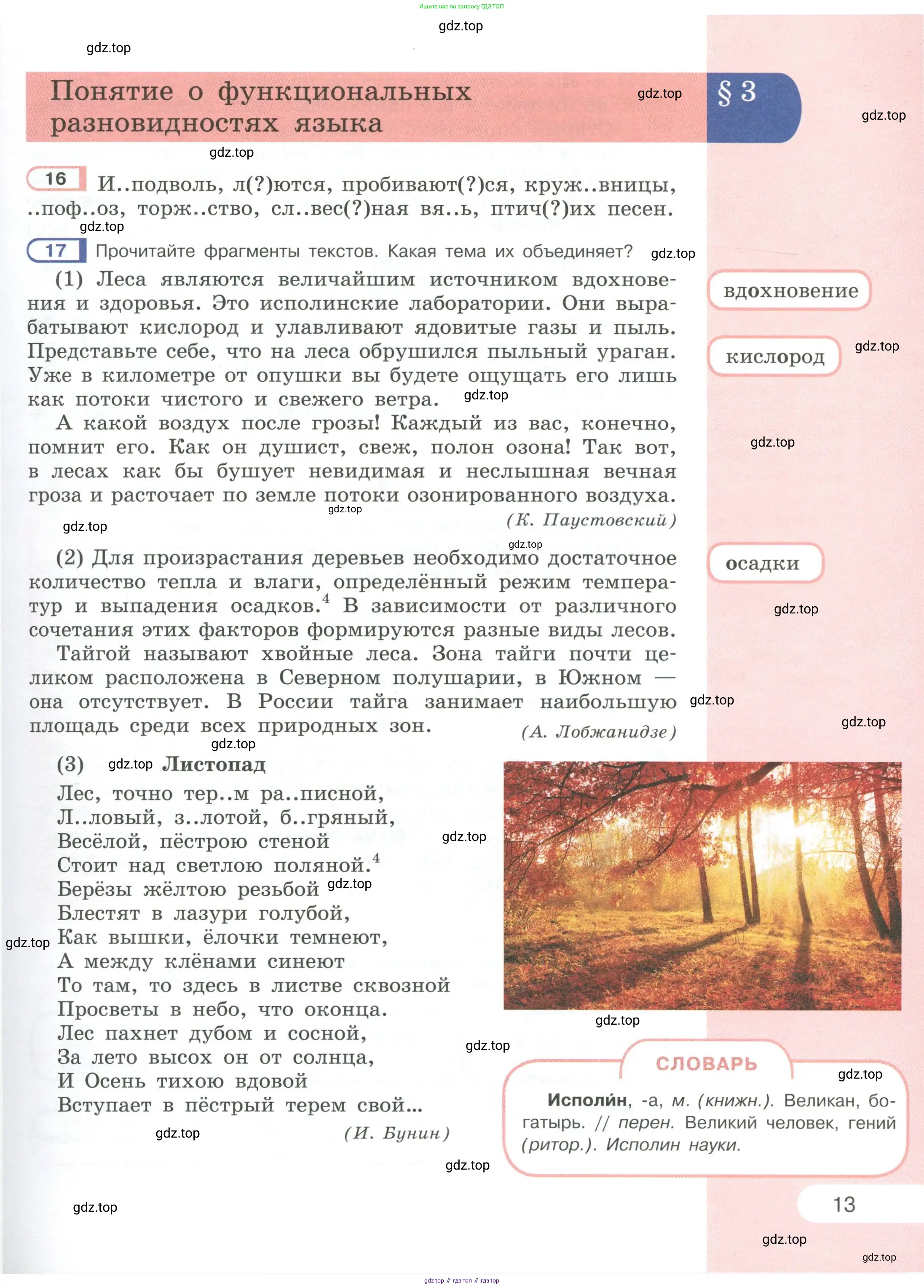 Русский язык, 6 класс Учебник, авторы: Рыбченкова Лидия Макаровна, Александрова Ольга Макаровна, Загоровская Ольга Владимировна, Нарушевич Андрей Георгиевич, Григорьев Андрей Владимирович, Леонтьева Юлия Николаевна, издательство Просвещение, Москва, 2019 - 2022, Часть 1, страница 13