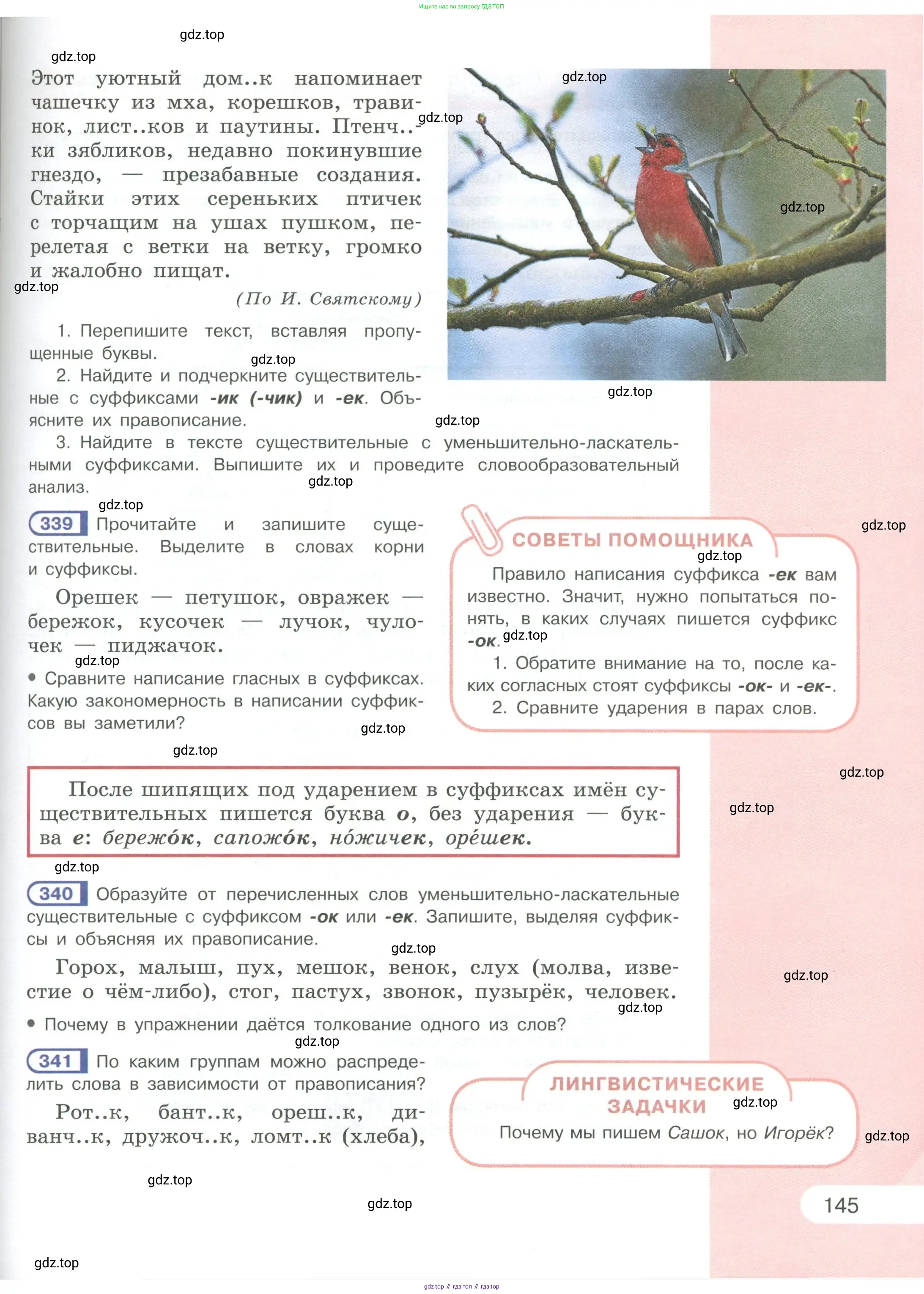 Русский язык, 6 класс Учебник, авторы: Рыбченкова Лидия Макаровна, Александрова Ольга Макаровна, Загоровская Ольга Владимировна, Нарушевич Андрей Георгиевич, Григорьев Андрей Владимирович, Леонтьева Юлия Николаевна, издательство Просвещение, Москва, 2019 - 2022, Часть 1, страница 145