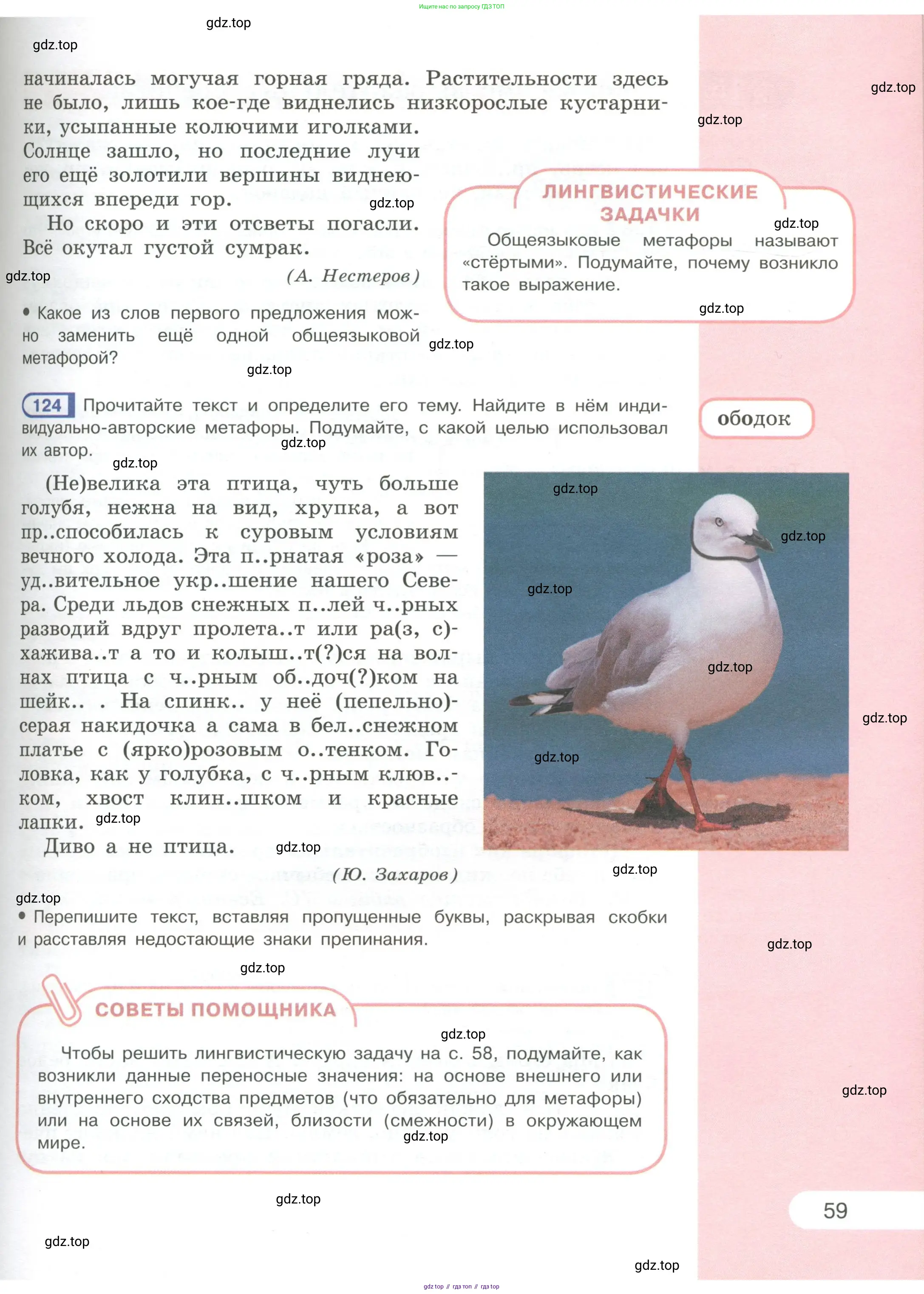 Русский язык, 6 класс Учебник, авторы: Рыбченкова Лидия Макаровна, Александрова Ольга Макаровна, Загоровская Ольга Владимировна, Нарушевич Андрей Георгиевич, Григорьев Андрей Владимирович, Леонтьева Юлия Николаевна, издательство Просвещение, Москва, 2019 - 2022, Часть 1, страница 59