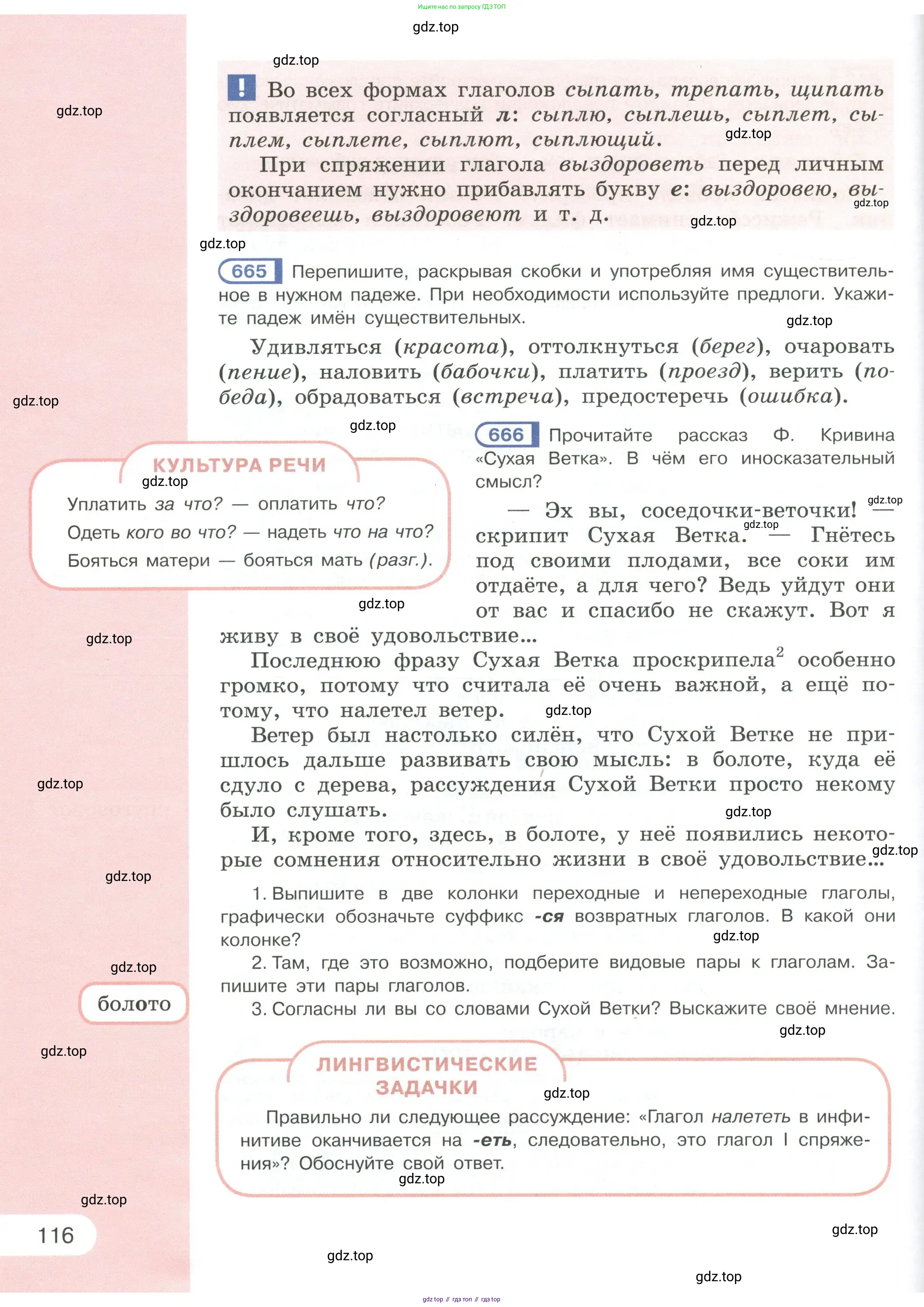 Русский язык, 6 класс Учебник, авторы: Рыбченкова Лидия Макаровна, Александрова Ольга Макаровна, Загоровская Ольга Владимировна, Нарушевич Андрей Георгиевич, Григорьев Андрей Владимирович, Леонтьева Юлия Николаевна, издательство Просвещение, Москва, 2019 - 2022, Часть 1, страница 116