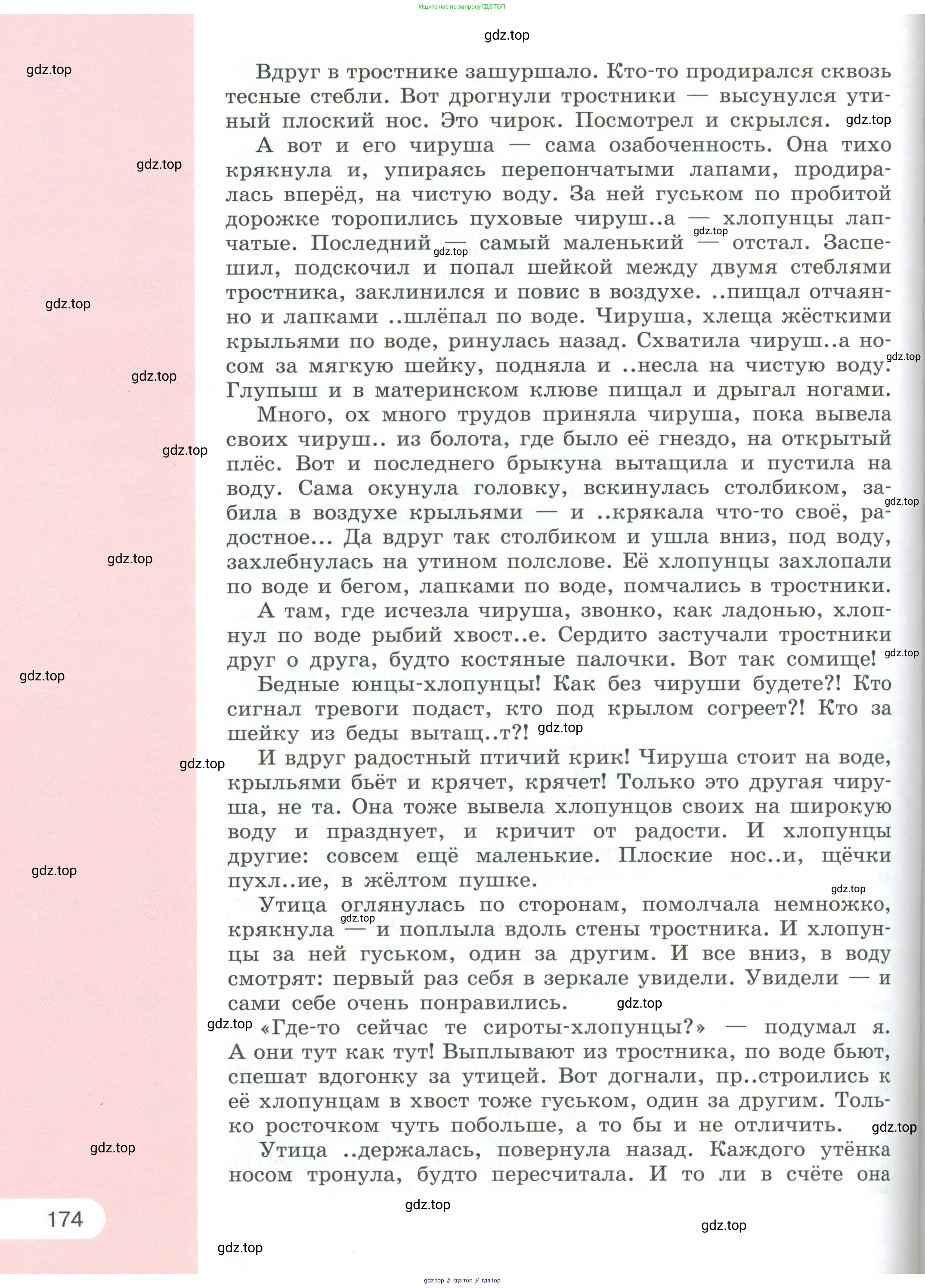 Русский язык, 6 класс Учебник, авторы: Рыбченкова Лидия Макаровна, Александрова Ольга Макаровна, Загоровская Ольга Владимировна, Нарушевич Андрей Георгиевич, Григорьев Андрей Владимирович, Леонтьева Юлия Николаевна, издательство Просвещение, Москва, 2019 - 2022, страница 174