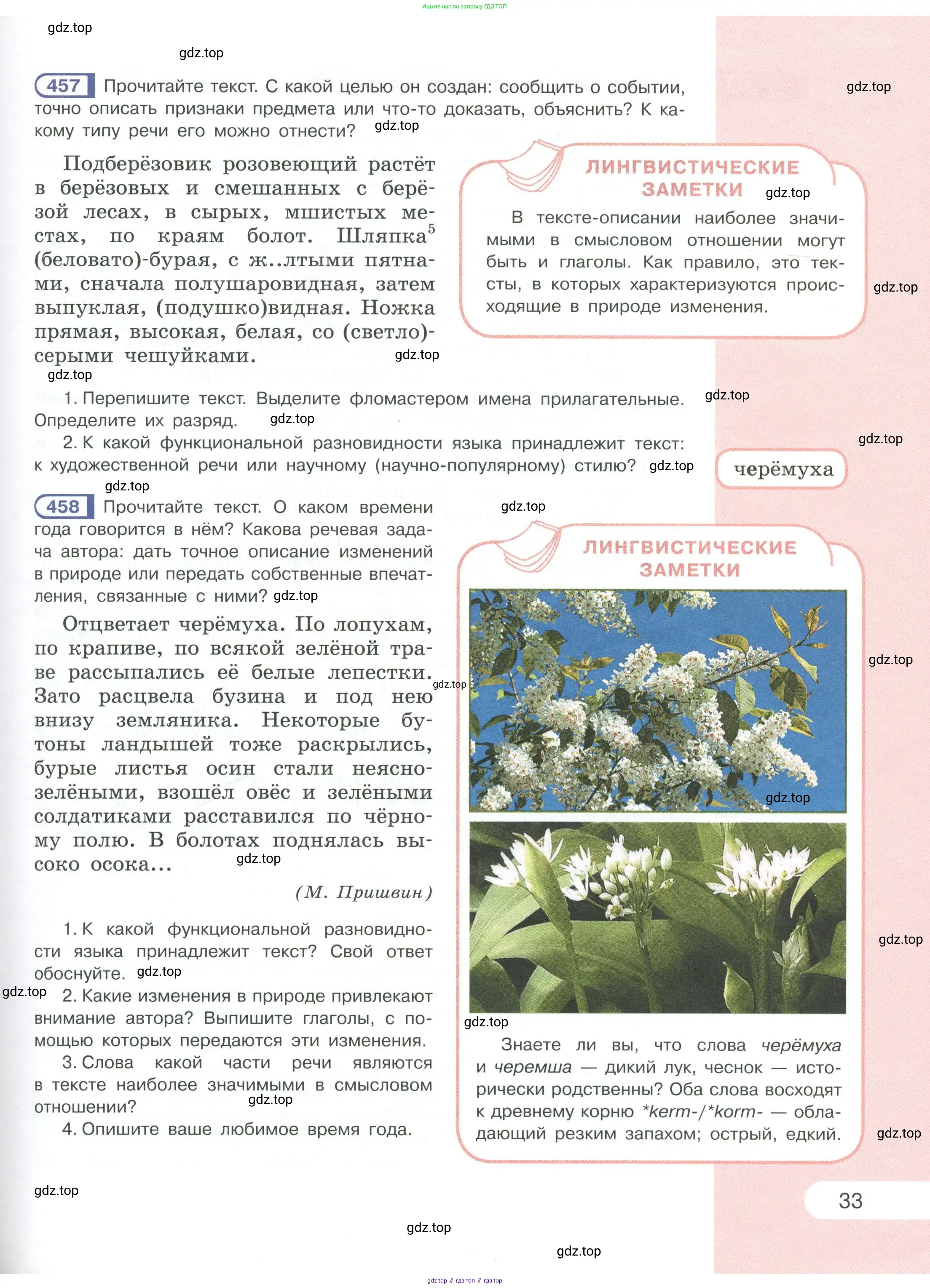 Русский язык, 6 класс Учебник, авторы: Рыбченкова Лидия Макаровна, Александрова Ольга Макаровна, Загоровская Ольга Владимировна, Нарушевич Андрей Георгиевич, Григорьев Андрей Владимирович, Леонтьева Юлия Николаевна, издательство Просвещение, Москва, 2019 - 2022, Часть 1, страница 33