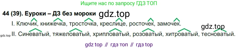 Русский язык, 6 класс Учебник, авторы: Рыбченкова Лидия Макаровна, Александрова Ольга Макаровна, Загоровская Ольга Владимировна, Нарушевич Андрей Георгиевич, Григорьев Андрей Владимирович, Леонтьева Юлия Николаевна, издательство Просвещение, Москва, 2019 - 2022, Часть 1, страница 28, Решение 1
