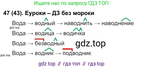 Русский язык, 6 класс Учебник, авторы: Рыбченкова Лидия Макаровна, Александрова Ольга Макаровна, Загоровская Ольга Владимировна, Нарушевич Андрей Георгиевич, Григорьев Андрей Владимирович, Леонтьева Юлия Николаевна, издательство Просвещение, Москва, 2019 - 2022, Часть 1, страница 29, Решение 1
