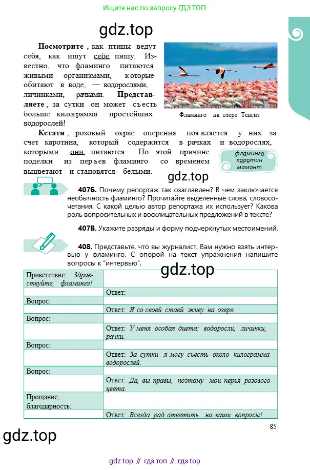 Русский язык, 6 класс Учебник, авторы: Сабитова Зинаида Какбаевна, Бейсембаев Амангельды Ракишевич, издательство Мектеп, Алматы, 2018, Часть 2, страница 85