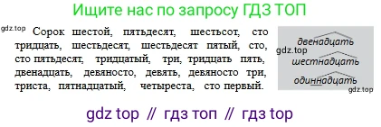 Русский язык, 6 класс Учебник, авторы: Сабитова Зинаида Какбаевна, Бейсембаев Амангельды Ракишевич, издательство Мектеп, Алматы, 2018, Часть 1, страница 133, номер 217, Условие (продолжение 2)