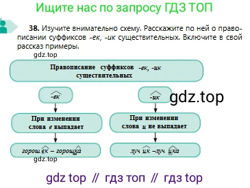Русский язык, 6 класс Учебник, авторы: Сабитова Зинаида Какбаевна, Бейсембаев Амангельды Ракишевич, издательство Мектеп, Алматы, 2018, Часть 1, страница 25, номер 38, Условие
