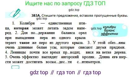 Русский язык, 6 класс Учебник, авторы: Сабитова Зинаида Какбаевна, Бейсембаев Амангельды Ракишевич, издательство Мектеп, Алматы, 2018, Часть 2, страница 72, номер 383А, Условие