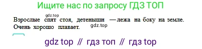 Русский язык, 6 класс Учебник, авторы: Сабитова Зинаида Какбаевна, Бейсембаев Амангельды Ракишевич, издательство Мектеп, Алматы, 2018, Часть 2, страница 72, номер 384А, Условие (продолжение 2)