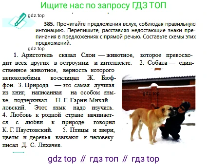 Русский язык, 6 класс Учебник, авторы: Сабитова Зинаида Какбаевна, Бейсембаев Амангельды Ракишевич, издательство Мектеп, Алматы, 2018, Часть 2, страница 73, номер 385, Условие