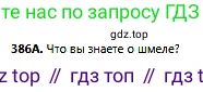 Русский язык, 6 класс Учебник, авторы: Сабитова Зинаида Какбаевна, Бейсембаев Амангельды Ракишевич, издательство Мектеп, Алматы, 2018, Часть 2, страница 73, номер 386А, Условие