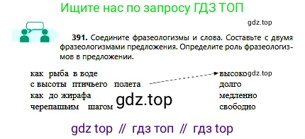 Русский язык, 6 класс Учебник, авторы: Сабитова Зинаида Какбаевна, Бейсембаев Амангельды Ракишевич, издательство Мектеп, Алматы, 2018, Часть 2, страница 76, номер 391, Условие