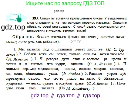 Русский язык, 6 класс Учебник, авторы: Сабитова Зинаида Какбаевна, Бейсембаев Амангельды Ракишевич, издательство Мектеп, Алматы, 2018, Часть 2, страница 77, номер 393, Условие