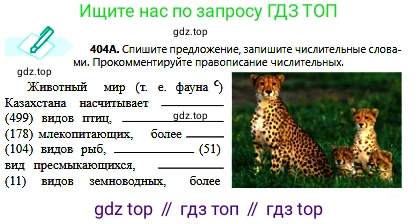 Русский язык, 6 класс Учебник, авторы: Сабитова Зинаида Какбаевна, Бейсембаев Амангельды Ракишевич, издательство Мектеп, Алматы, 2018, Часть 2, страница 83, номер 404А, Условие