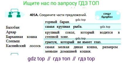 Русский язык, 6 класс Учебник, авторы: Сабитова Зинаида Какбаевна, Бейсембаев Амангельды Ракишевич, издательство Мектеп, Алматы, 2018, Часть 2, страница 84, номер 405А, Условие
