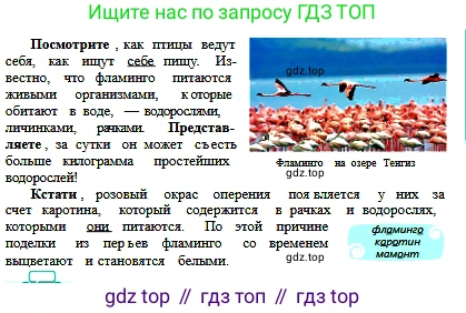 Русский язык, 6 класс Учебник, авторы: Сабитова Зинаида Какбаевна, Бейсембаев Амангельды Ракишевич, издательство Мектеп, Алматы, 2018, Часть 2, страница 84, номер 407А, Условие (продолжение 2)