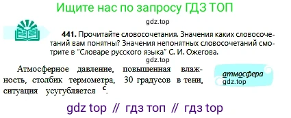 Русский язык, 6 класс Учебник, авторы: Сабитова Зинаида Какбаевна, Бейсембаев Амангельды Ракишевич, издательство Мектеп, Алматы, 2018, Часть 2, страница 109, номер 441, Условие