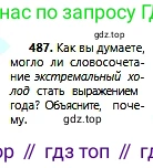 Русский язык, 6 класс Учебник, авторы: Сабитова Зинаида Какбаевна, Бейсембаев Амангельды Ракишевич, издательство Мектеп, Алматы, 2018, Часть 2, страница 131, номер 487, Условие