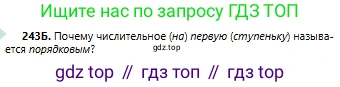 Русский язык, 6 класс Учебник, авторы: Сабитова Зинаида Какбаевна, Бейсембаев Амангельды Ракишевич, издательство Мектеп, Алматы, 2018, Часть 1, страница 149, номер 243Б, Условие