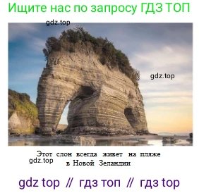 Русский язык, 6 класс Учебник, авторы: Сабитова Зинаида Какбаевна, Бейсембаев Амангельды Ракишевич, издательство Мектеп, Алматы, 2018, Часть 1, страница 24, номер 35Б, Условие (продолжение 2)