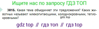 Русский язык, 6 класс Учебник, авторы: Сабитова Зинаида Какбаевна, Бейсембаев Амангельды Ракишевич, издательство Мектеп, Алматы, 2018, Часть 2, страница 71, номер 381Б, Условие