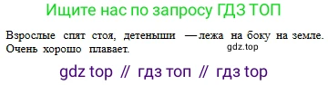 Русский язык, 6 класс Учебник, авторы: Сабитова Зинаида Какбаевна, Бейсембаев Амангельды Ракишевич, издательство Мектеп, Алматы, 2018, Часть 2, страница 73, номер 384Б, Условие (продолжение 2)