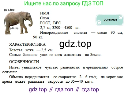 Русский язык, 6 класс Учебник, авторы: Сабитова Зинаида Какбаевна, Бейсембаев Амангельды Ракишевич, издательство Мектеп, Алматы, 2018, Часть 2, страница 73, номер 384Б, Условие (продолжение 3)
