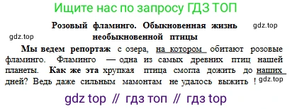 Русский язык, 6 класс Учебник, авторы: Сабитова Зинаида Какбаевна, Бейсембаев Амангельды Ракишевич, издательство Мектеп, Алматы, 2018, Часть 2, страница 85, номер 407Б, Условие (продолжение 2)
