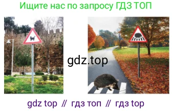 Русский язык, 6 класс Учебник, авторы: Сабитова Зинаида Какбаевна, Бейсембаев Амангельды Ракишевич, издательство Мектеп, Алматы, 2018, Часть 2, страница 98, номер 427Б, Условие (продолжение 2)