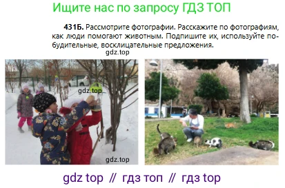 Русский язык, 6 класс Учебник, авторы: Сабитова Зинаида Какбаевна, Бейсембаев Амангельды Ракишевич, издательство Мектеп, Алматы, 2018, Часть 2, страница 100, номер 431Б, Условие