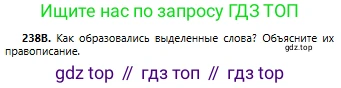 Русский язык, 6 класс Учебник, авторы: Сабитова Зинаида Какбаевна, Бейсембаев Амангельды Ракишевич, издательство Мектеп, Алматы, 2018, Часть 1, страница 145, номер 238В, Условие