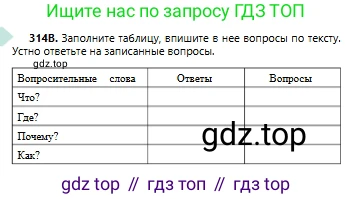 Русский язык, 6 класс Учебник, авторы: Сабитова Зинаида Какбаевна, Бейсембаев Амангельды Ракишевич, издательство Мектеп, Алматы, 2018, Часть 2, страница 33, номер 314В, Условие