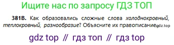 Русский язык, 6 класс Учебник, авторы: Сабитова Зинаида Какбаевна, Бейсембаев Амангельды Ракишевич, издательство Мектеп, Алматы, 2018, Часть 2, страница 71, номер 381В, Условие