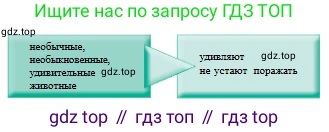 Русский язык, 6 класс Учебник, авторы: Сабитова Зинаида Какбаевна, Бейсембаев Амангельды Ракишевич, издательство Мектеп, Алматы, 2018, Часть 2, страница 71, номер 382В, Условие (продолжение 2)